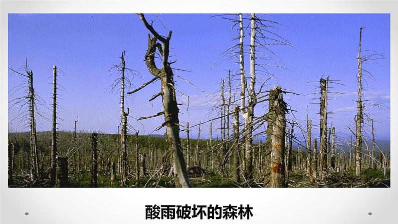 4-7-2探究环境污染对生物的影响课件2021--2022学年人教版生物七年级下册第4页