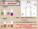 8-1人类的食物课件2021--2022学年北师大版生物七年级下册
