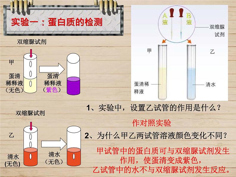 8-1人类的食物课件2021--2022学年北师大版生物七年级下册05