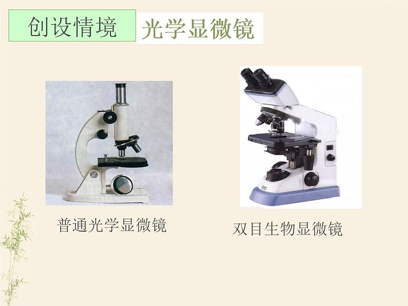 2.1.1练习使用显微镜课件PPT03