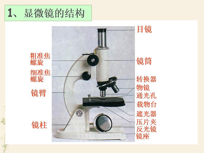 2.1.1练习使用显微镜课件PPT06