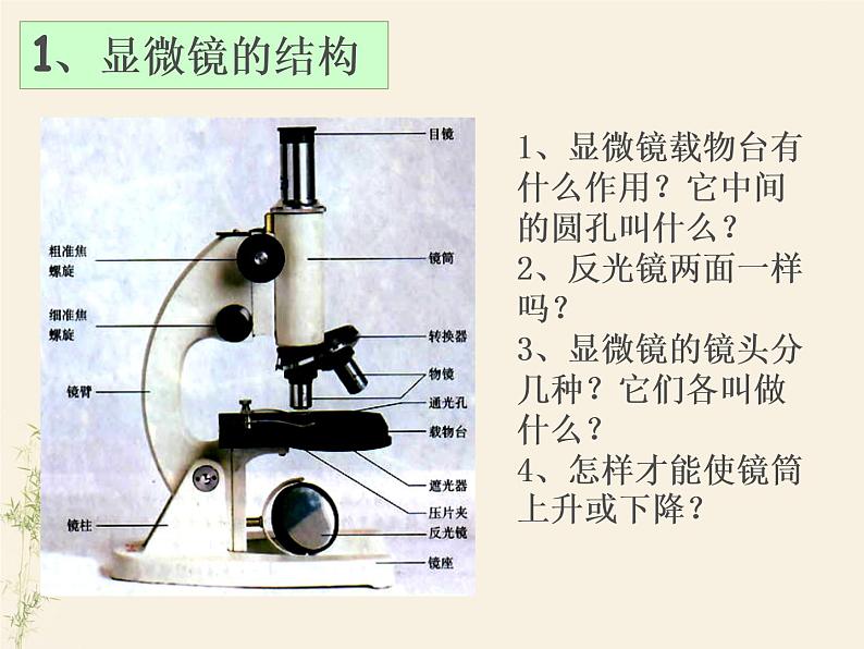 2.1.1练习使用显微镜课件PPT07