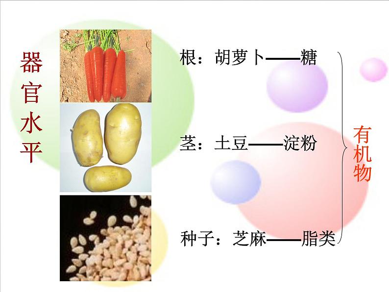 3.4绿色植物是生物圈中有机物的制造者课件PPT03