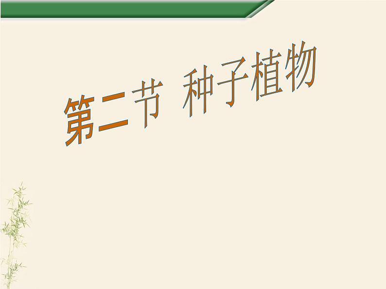 3.1.2种子植物课件PPT01
