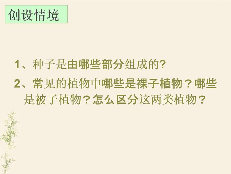 3.1.2种子植物课件PPT05