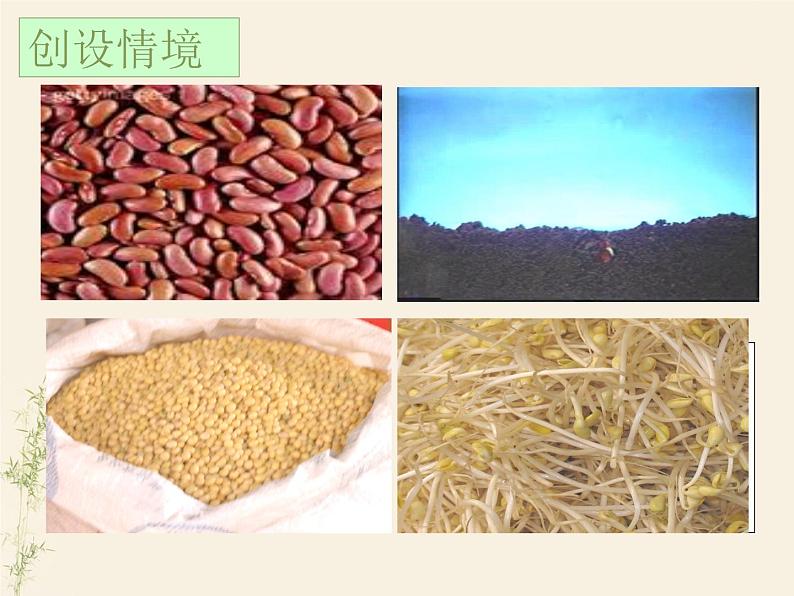 3.2.1种子的萌发课件PPT02
