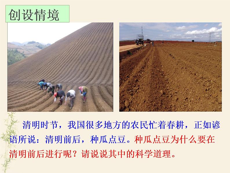 3.2.1种子的萌发课件PPT03