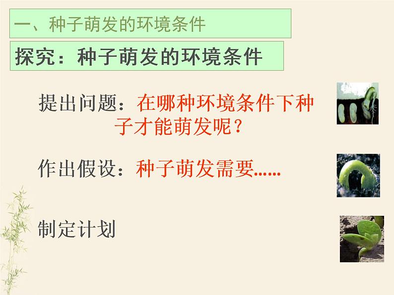 3.2.1种子的萌发课件PPT05