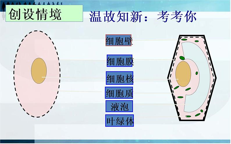 2.1.4细胞的生活课件PPT02