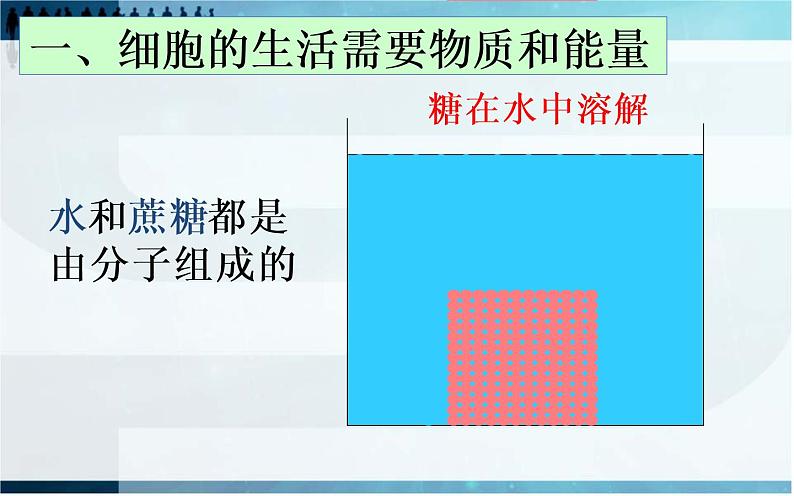 2.1.4细胞的生活课件PPT06