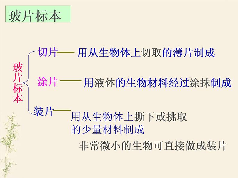 2.1.2植物细胞课件PPT第6页