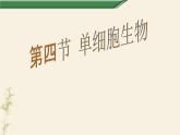 2.2.4单细胞生物课件PPT