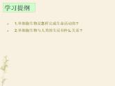 2.2.4单细胞生物课件PPT