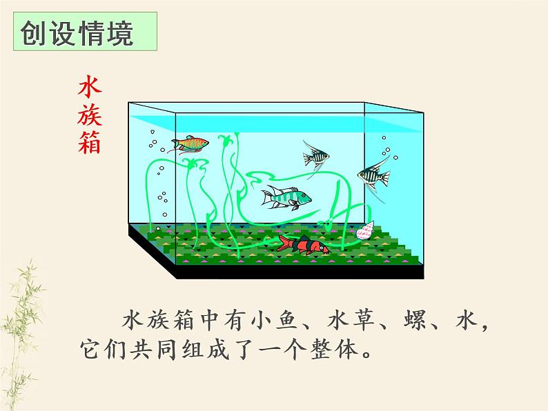 1.2.2 生物与环境组成生态系统课件PPT第2页