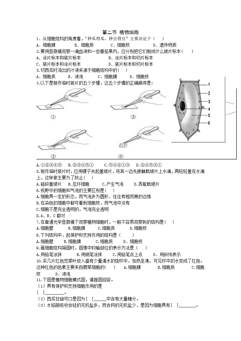 2.1.2 植物细胞练习题第1页