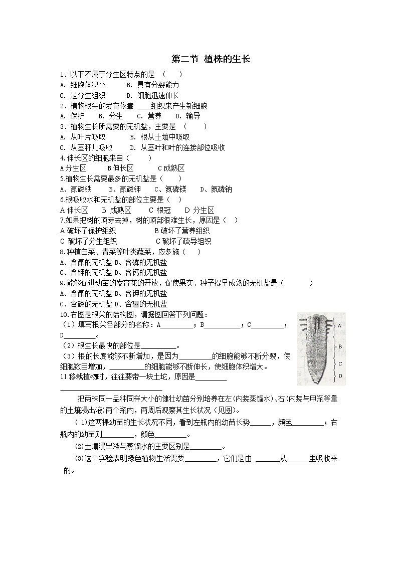 3.2.2植株的生长练习题01