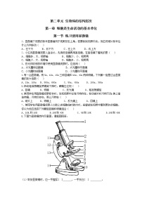 生物七年级上册第一节 练习使用显微镜同步训练题