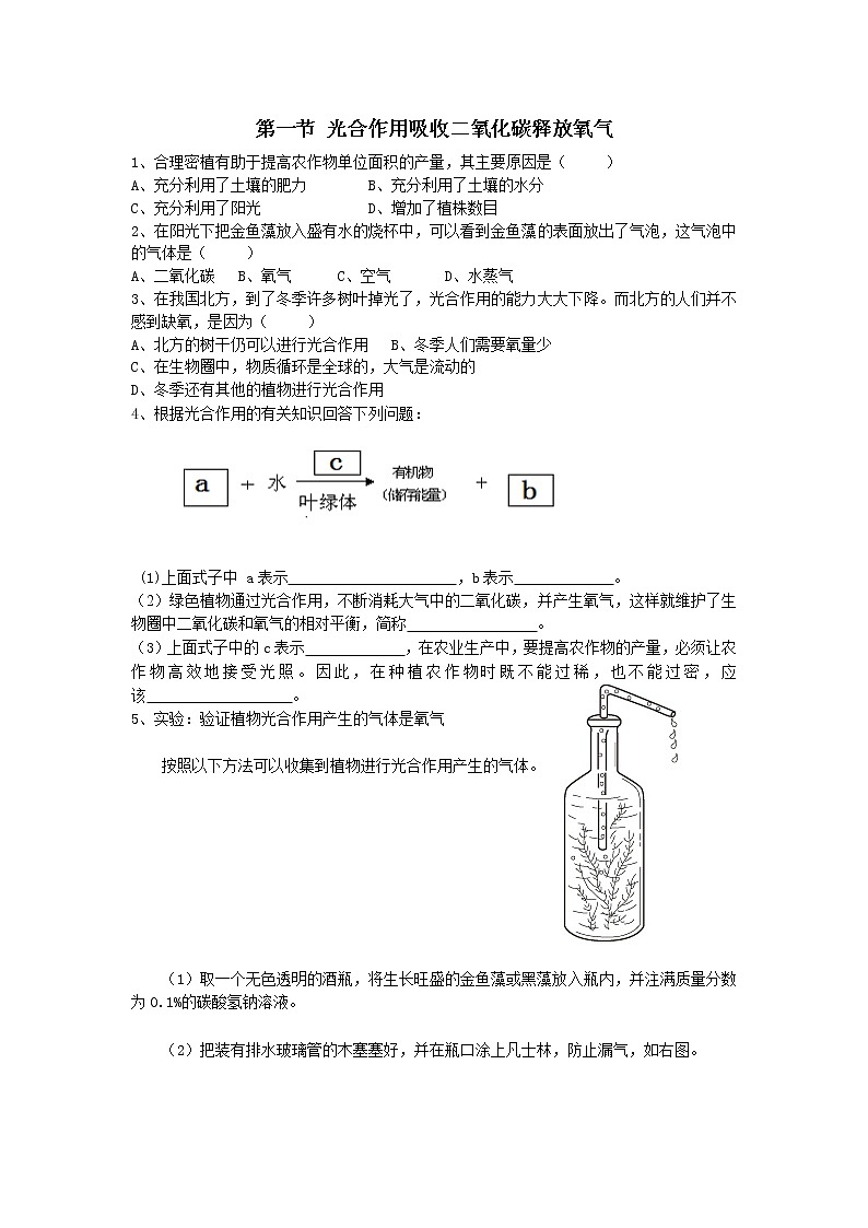 3.5.1光合作用吸收二氧化碳释放氧气练习题第1页