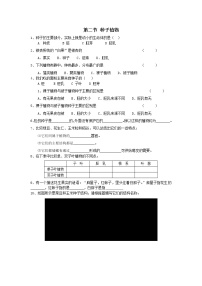 2020-2021学年第二节 种子植物随堂练习题