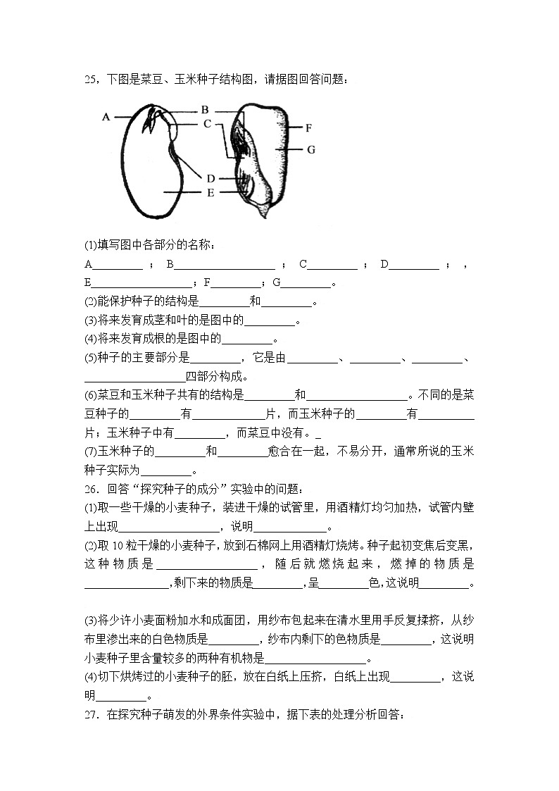 生物：第6章第1节++种子萌发形成幼苗++同步练习第3页
