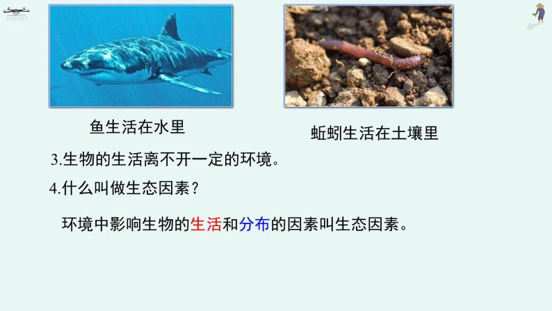 1.3 生物与环境的关系课件PPT05