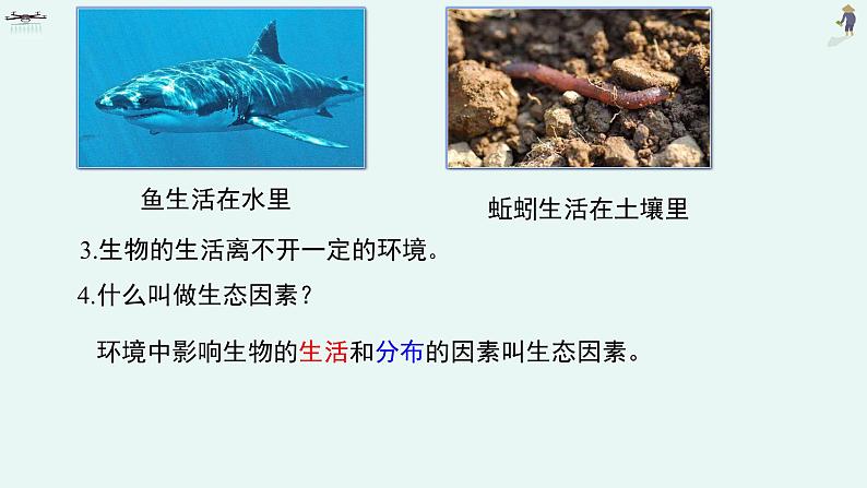 1.3 生物与环境的关系课件PPT05