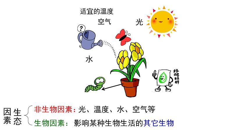 1.3 生物与环境的关系课件PPT06