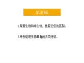 1.1生物的特征课件PPT