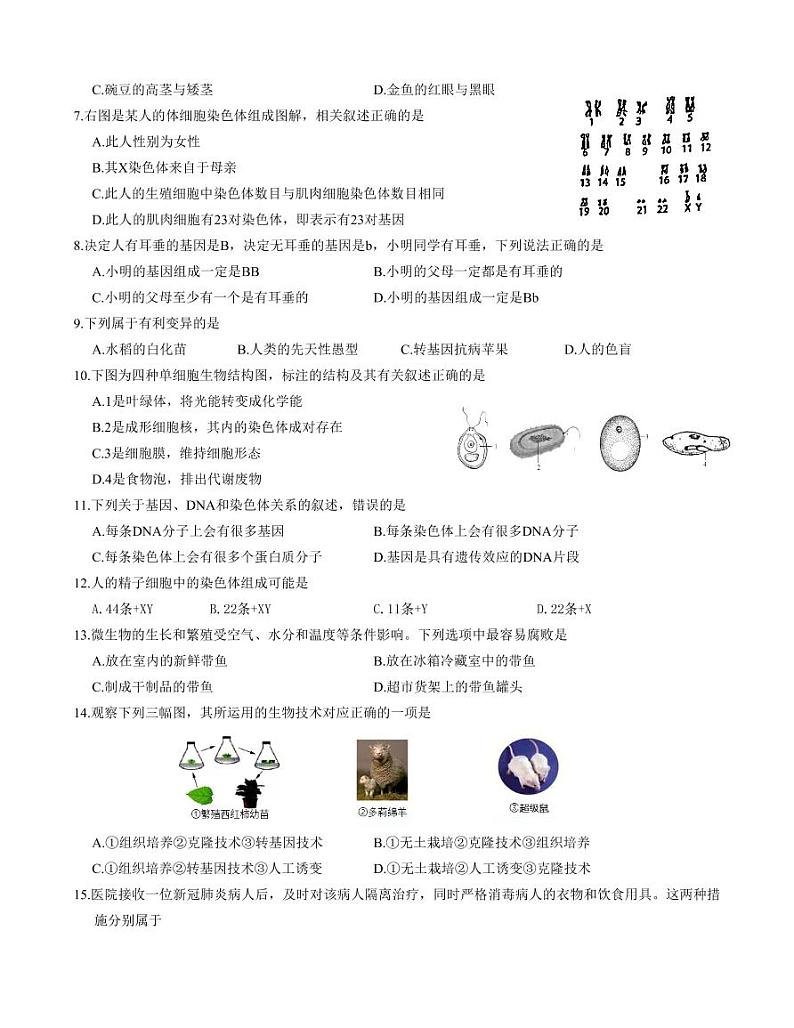江苏省盐城市初级中学（中校区）2021-2022学年八年级下学期期中生物试卷02