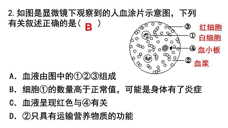 2022年中考北师大版生物复习课件---第四单元《人体内的物质运输》第7页