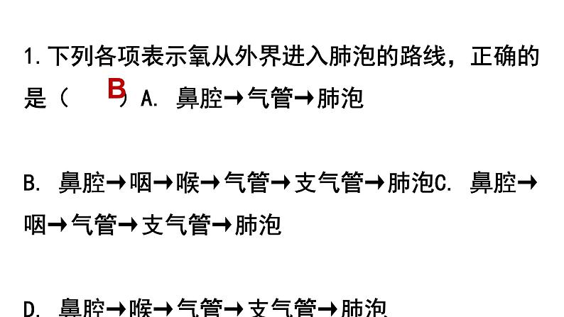 2022年中考北师大版生物复习课件-------第四单元《人体的呼吸》第3页