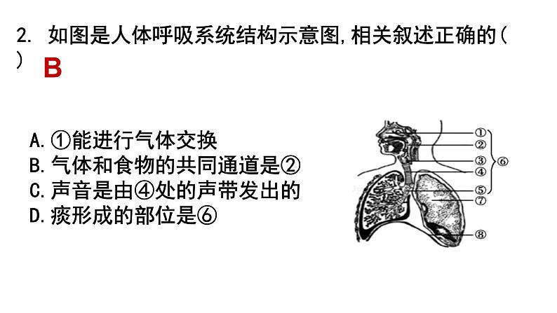 2022年中考北师大版生物复习课件-------第四单元《人体的呼吸》第6页