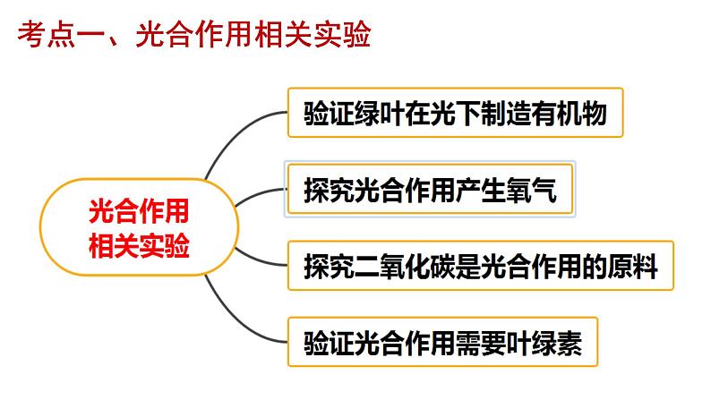 2022年中考北师大版生物复习课件--第三单元《光合作用》第3页