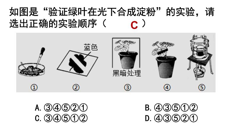 2022年中考北师大版生物复习课件--第三单元《光合作用》第4页