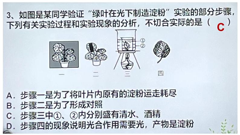 2022年中考北师大版生物复习课件--第三单元《光合作用》第7页