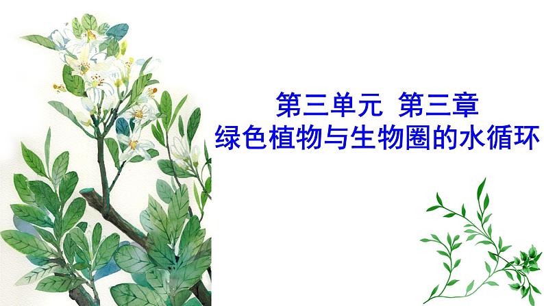 2022年中考北师大版生物复习课件--第三单元《绿色植物与生物圈的水循环》01