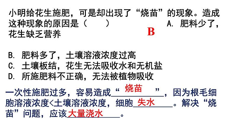 2022年中考北师大版生物复习课件--第三单元《绿色植物与生物圈的水循环》07