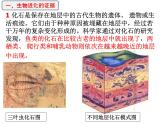 第二节生物进化的历程课件PPT