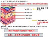 第二节生物进化的历程课件PPT