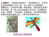第二节生物进化的历程课件PPT