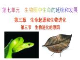 第三节生物进化的原因课件PPT