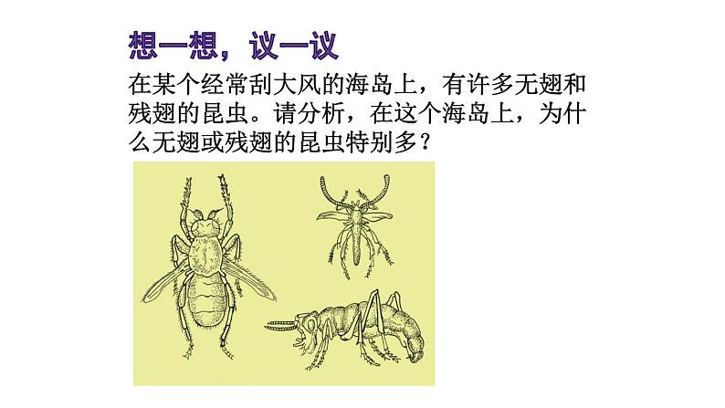 第三节生物进化的原因课件PPT02