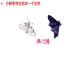 第三节生物进化的原因课件PPT