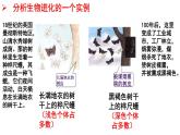 第三节生物进化的原因课件PPT
