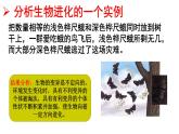 第三节生物进化的原因课件PPT