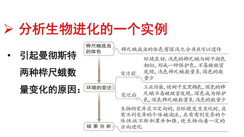 第三节生物进化的原因课件PPT06