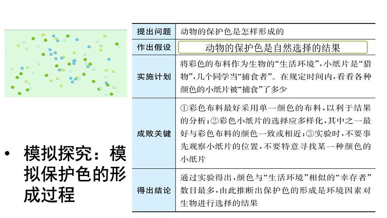 第三节生物进化的原因课件PPT07