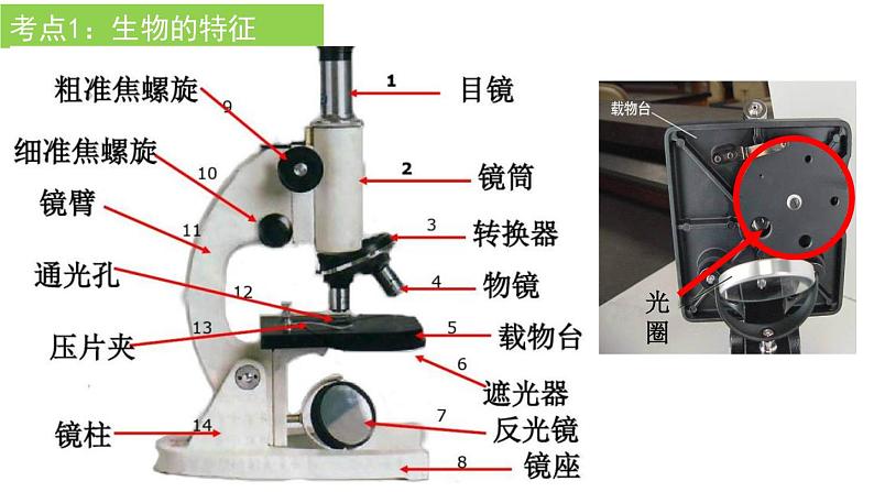 2022年中考生物一轮复习课件：专题02细胞是生命活动的基本单位第2页