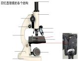 2022年中考生物一轮复习课件：专题02细胞是生命活动的基本单位
