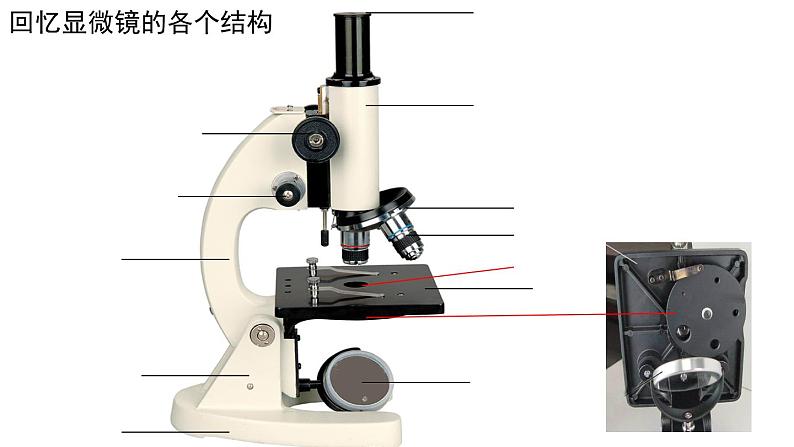 2022年中考生物一轮复习课件：专题02细胞是生命活动的基本单位第3页